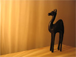 camel wallpaper