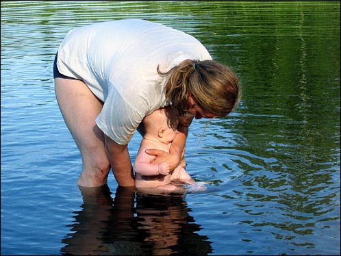 Rufus's first swim at the family summer cottage