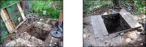 Rufus's first swim at the family summer cottage